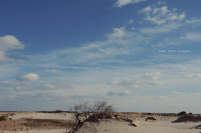 dune-3